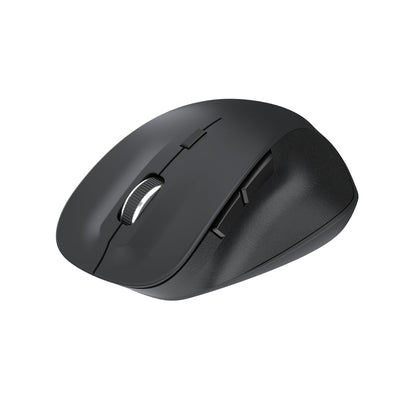 Portronics Toad 24 wireless mouse.
