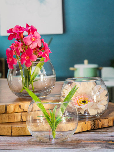 Goodhomes Clear Glass Flower Vase (Set of 3pcs)